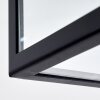 MOATIZE Ceiling Light black, 2-light sources