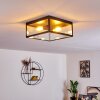 MOATIZE Ceiling Light black, 2-light sources