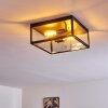 MOATIZE Ceiling Light black, 2-light sources
