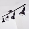 POLMAK Ceiling light black-gold, 4-light sources