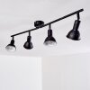 POLMAK Ceiling light black-gold, 4-light sources