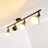 POLMAK Ceiling light black-gold, 4-light sources