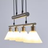 Bamenda Pendant Light matt nickel, 4-light sources