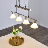 Bamenda Pendant Light matt nickel, 4-light sources