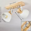 Orny Ceiling Light white, 2-light sources