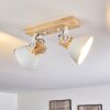Orny Ceiling Light white, 2-light sources