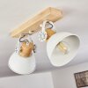 Orny Ceiling Light white, 2-light sources