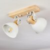 Orny Ceiling Light white, 2-light sources