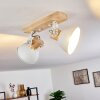 Orny Ceiling Light white, 2-light sources