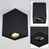 Baishan Ceiling Light black, 1-light source