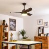 DOHA ceiling fan LED brown, 1-light source, Remote control