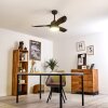 DOHA ceiling fan LED brown, 1-light source, Remote control