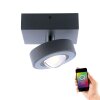 Ceiling Light Paul Neuhaus Q-MIA LED anthracite, 1-light source, Remote control