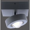 Ceiling Light Paul Neuhaus Q-MIA LED anthracite, 1-light source, Remote control