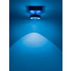 Ceiling Light Paul Neuhaus Q-MIA LED anthracite, 1-light source, Remote control