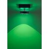 Ceiling Light Paul Neuhaus Q-MIA LED anthracite, 1-light source, Remote control