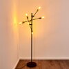 Coppet Floor Lamp black-gold, 6-light sources