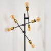 Coppet Floor Lamp black-gold, 6-light sources