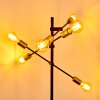 Coppet Floor Lamp black-gold, 6-light sources