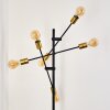 Coppet Floor Lamp black-gold, 6-light sources