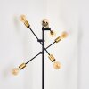 Coppet Floor Lamp black-gold, 6-light sources