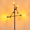 Coppet Floor Lamp black-gold, 6-light sources