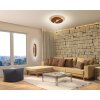 Paul Neuhaus NEVIS Ceiling Light LED rust-coloured, 1-light source
