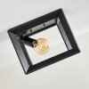 TRARYD Ceiling Light black, 1-light source