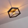 TRARYD Ceiling Light black, 1-light source