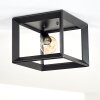 TRARYD Ceiling Light black, 1-light source