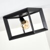 TRARYD Ceiling Light black, 1-light source
