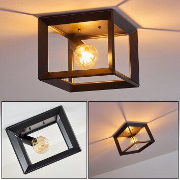 TRARYD Ceiling Light black, 1-light source