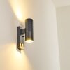 BRACHY Outdoor Wall Light grey, 2-light sources, Motion sensor