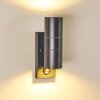 BRACHY Outdoor Wall Light grey, 2-light sources, Motion sensor