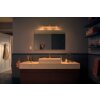 Philips HUE AMBIANCE WHITE ADORE spot white, 3-light sources, Remote control