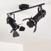 LICHINGA Ceiling Light black, 2-light sources