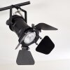 LICHINGA Ceiling Light black, 2-light sources