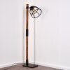 HAERVEJ Floor Lamp Dark wood, black, 1-light source