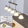 Bamenda Pendant Light matt nickel, 5-light sources