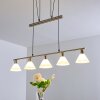 Bamenda Pendant Light matt nickel, 5-light sources
