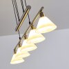 Bamenda Pendant Light matt nickel, 5-light sources