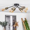 Ceiling Light Vestjelland brass, black, 6-light sources