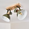 Orny Ceiling Light green, 2-light sources