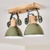 Orny Ceiling Light green, 2-light sources