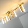 Sakami ceiling light LED matt nickel, 8-light sources