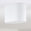 Quimper Ceiling Light white, 2-light sources