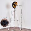 Jupiter Floor Lamp black-gold, white, 1-light source
