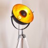 Jupiter Floor Lamp black-gold, white, 1-light source