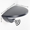 CARANO Outdoor Wall Light LED black, 1-light source, Motion sensor