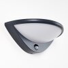 CARANO Outdoor Wall Light LED black, 1-light source, Motion sensor